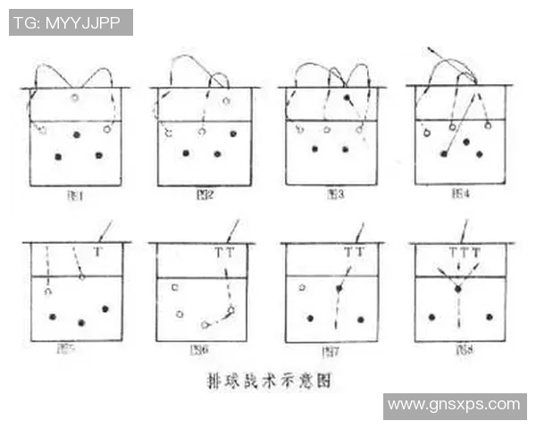 深圳排球队中路突破分析与战术反思探讨